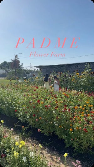 Handpicked fresh bouquet