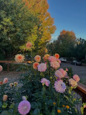 Seasonal fall bouquets