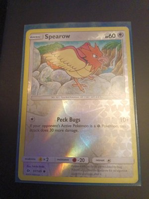 Spearow Pokémon Card