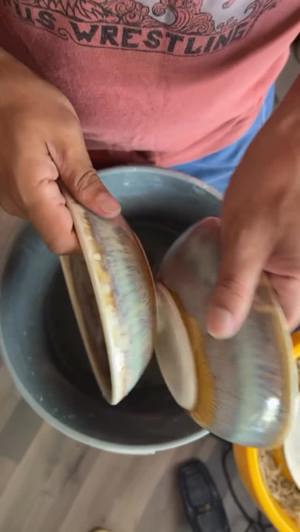 Pasta bowls