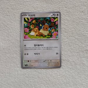 Eevee Korean Pokémon Card