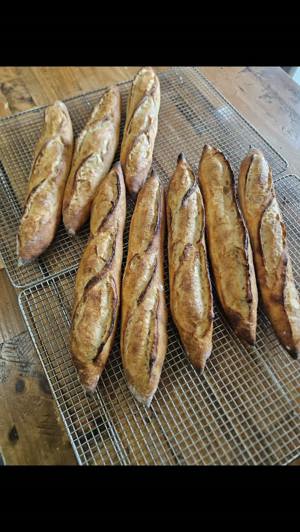 Sourdough baguettes