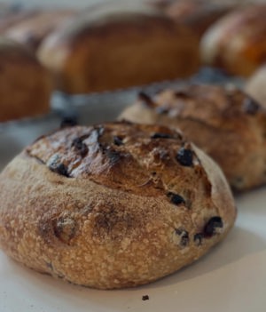 Kalamata Olive sourdough loaf