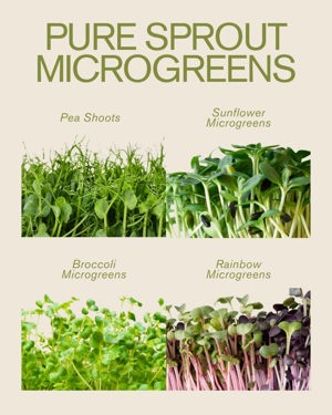 Broccoli microgreens