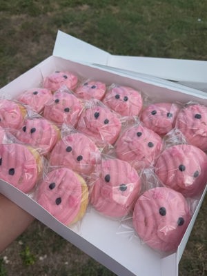 Mini piggy conchas