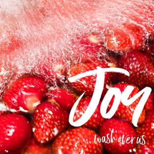 Joybubbles strawberry kombucha de Double Dog Kombucha, Minneapolis, MN