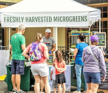 Fresh microgreens (3.5 oz pack)
