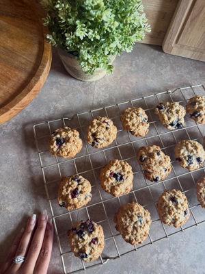 Chewy Blueberry Oatmeal Cookies