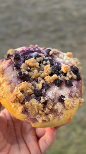 Sourdough Brioche Blueberry Danish