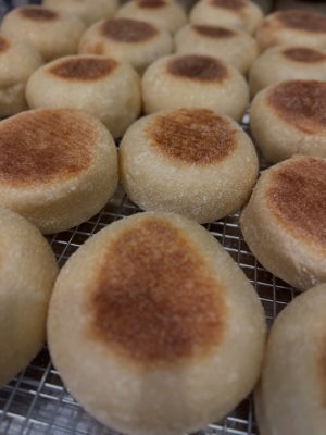 Sourdough English muffins