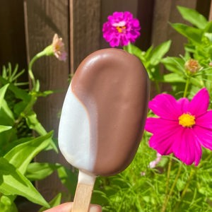 Double chocolate cake pops