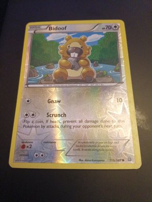 Bidoof Pokémon Card #70