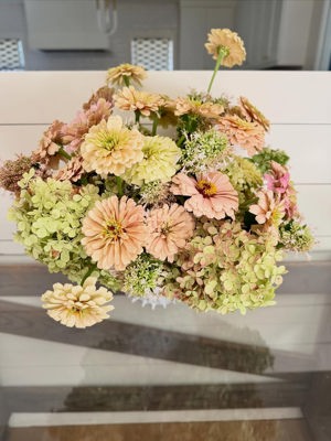 Hydrangea stems
