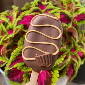 Peanut butter cup cake pops by JudyPops, New Brighton, MN
