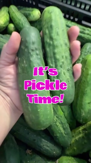Fresh dill