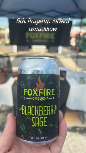 Blueberry Hibiscus shrub