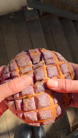 Blueberry concha
