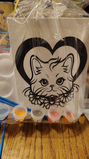 Cat Heart Canvas paint kit