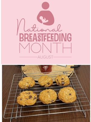 Sourdough oatmeal lactation cookies