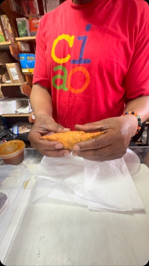 Birria Empanada