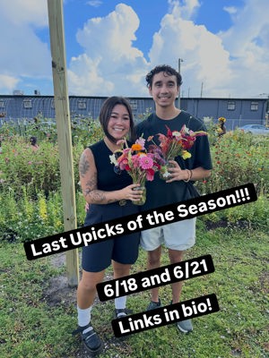 U-Pick flower session