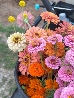 Fresh cut flower bunches