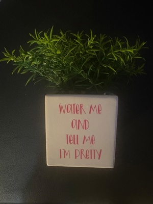 Ceramic Planter With Funny Quote