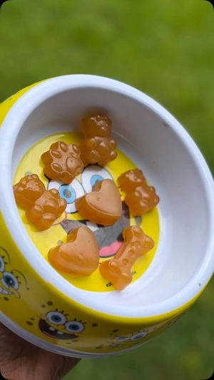 Chicken & Sweet Potato Gummies