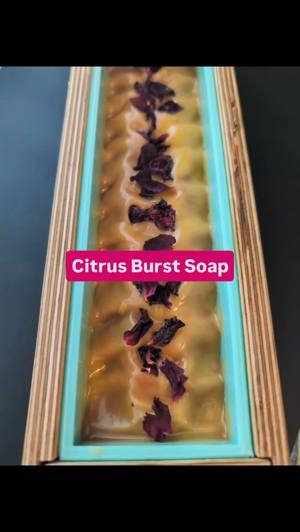 Carrot juice and aloe soap bar