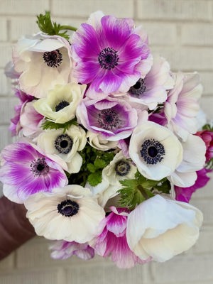 Anemones de Field and Flower by In Bloom, Atlanta, GA