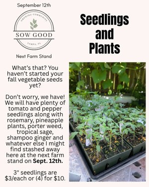 Seedlings