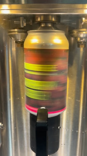 Raspberry Ginger kombucha