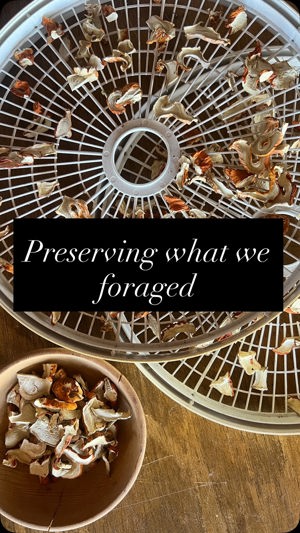 Homesteading classes de Blooming Ranch, Phoenix, AZ