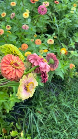 Fresh-cut flower bunches