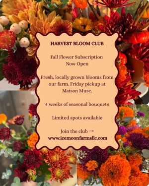 Harvest Bloom Club fall flower subscription