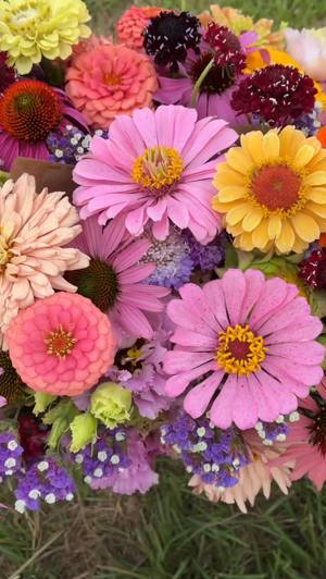 Mixed farm bouquet
