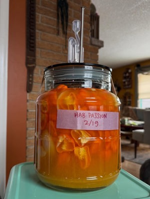 Passionfruit Habanero hot sauce
