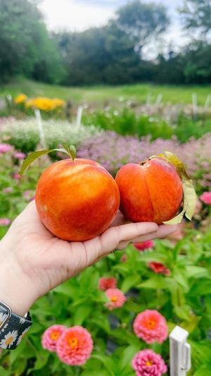 Peach cobbler jam