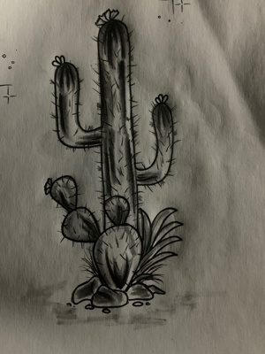 Cactus Pen Drawing