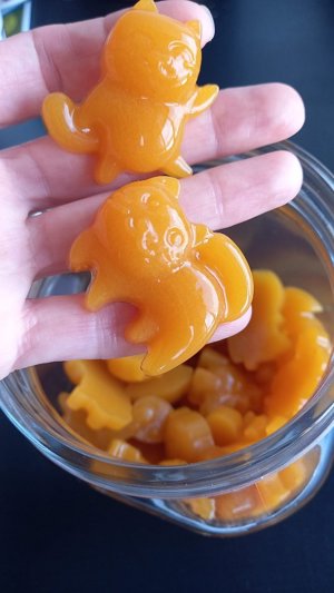 Gomas de gengibre e curcuma de Bago de Amora, Amora, Setúbal