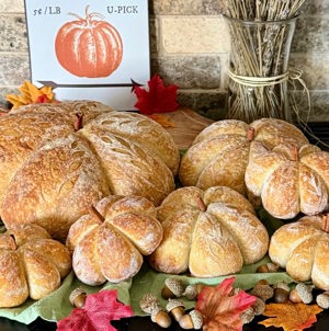 Pumpkin Patch sourdough set