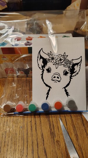 Paint Your Own Pig Canvas Kit