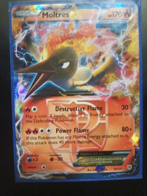 Moltres Pokemon EX Card