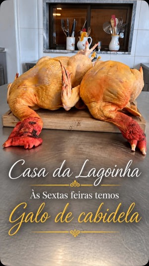 Galo de cabidela