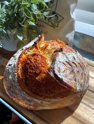 Roasted garlic and parmesan crusted sourdough