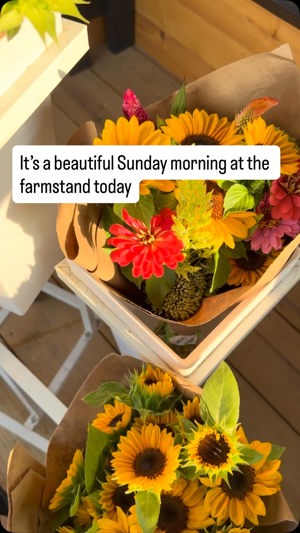 Mixed seasonal bouquet