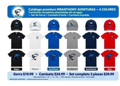 Camiseta 100% algodón