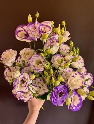 Lisianthus bunch