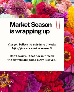 Weekly flower subscription
