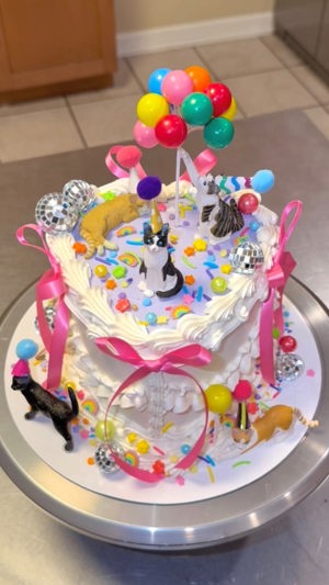 Cat birthday cake